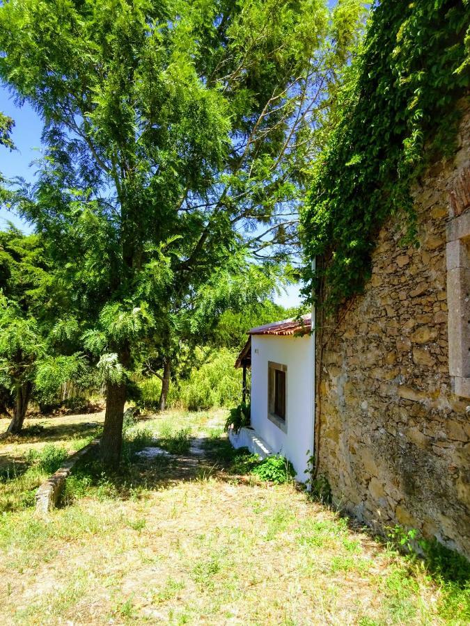 Bed and Breakfast Quinta Da Galeana Dreaming Lourinhã Exteriér fotografie